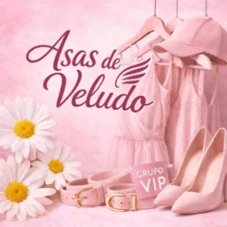 Asas de Veludo Brechó 🩷