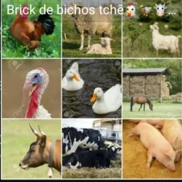 Grupo de bichos tchê 2
