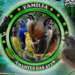 Grupo de aves Miguel couto e arredores
