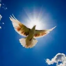 🙏MENSAGENS DE LUZ🙏