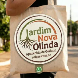 Setores Aparecida Goiânia