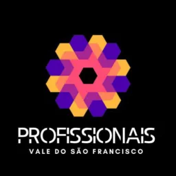 Profissionais do Vale 2.0
