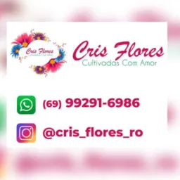 Cris Flores  vendas 🌷🌷