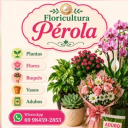 Floricultura Pérola 3 Fronteiras