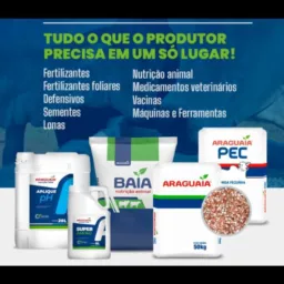 Grupo loja Araguaia