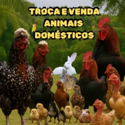 TROCA E VENDA DE ANIMAIS DOMÉSTICOS JARINU E REGIÃO