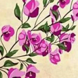 MULHERES VIRTUOSAS 💐💐