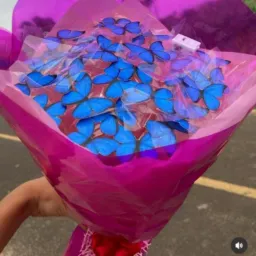 Buque de chocolate,rosas de cetim,borboletas