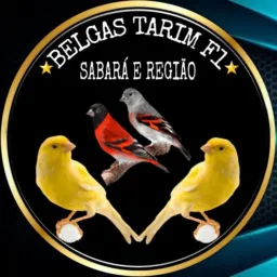 Belgas em geral Sabará e BH
