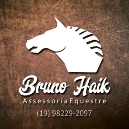 BH ASSESSORIA - GRUPO EXCLUSIVO - VENDA DIRETA E LEILÕES