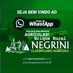 14:NEGRINI / BRIQUE RURAL