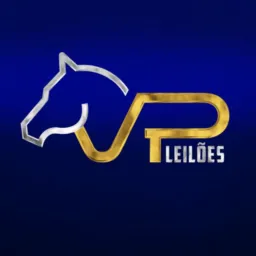 VP LEILÕES 30