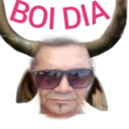 Curral da boiada 156/210🐮