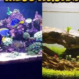 MARINHO🪼🦀🐡 VS DOCE🌿🐠🐟🦞 vale do paraiba