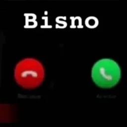 🚨Bisno 24 horas🚨