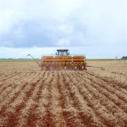 VENDAS DO XINGÚ EM GERAL🤑