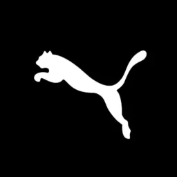 COMUNIDADE PUMA 💛