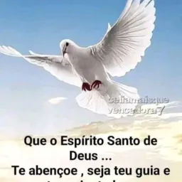 Palavra do senhor Jesus Cristo
