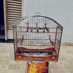 RIFA-SE GAIOLA PADRÃO TORNEIO