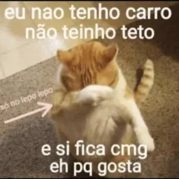 Novas amizades