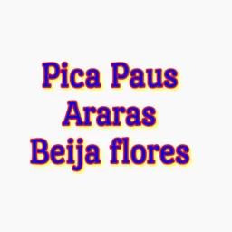 PICA PAUS ARARAS E BEIJA FLORES