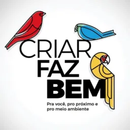 CANÁRIOS & CIA - SP