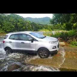 EcoSport do Brasil