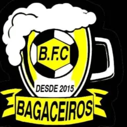 🧍♂️OS BAGACEIROS 💃