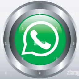 Novo Progresso vendas net