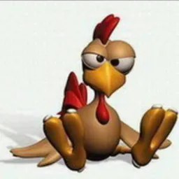 Galinha morta