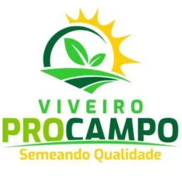VIVEIRO PROCAMPO 🌱