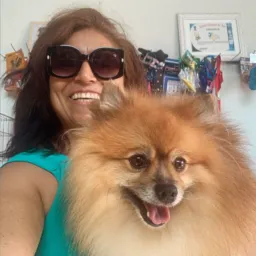 Pet Shop Cão Chick 🐾