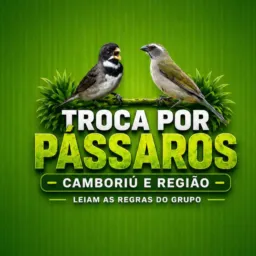 Pássaros na Troca Camboriú e Região