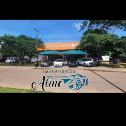 Aline Consultora Multimarka Veículos Matupá 🚗