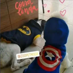 Zoopetmoda acessórios pet 🐶🐶