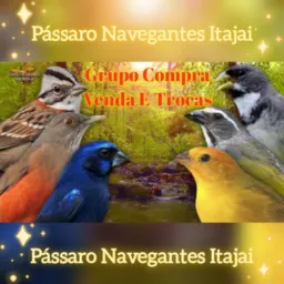 🐦⬛Só Pássaros Navegantes Itajaí e Região 🦜 🦅 🐦