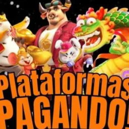🇧🇷🎰SLOT BRASIL🎰🇧🇷 #GRUPO4