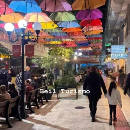 Quase de tudo Camboriú e região de Itajaí