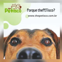 📢Promo thePETisco 🧡💛💚