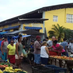 VENDA E TROCAS SANTA INÊS