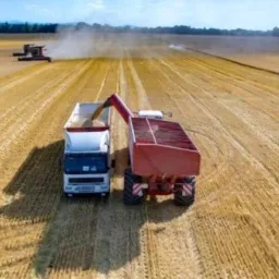 CAMINHÕES E MÁQUINAS AGRÍCOLAS