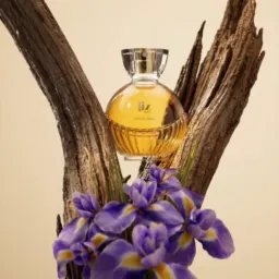 TAMI COSMÉTICO'S & PERFUMARI'A ❤️