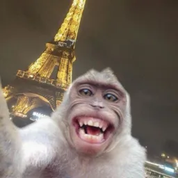 Engaja monkey 🐒❤️‍🔥