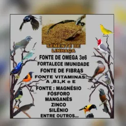 🇸🇲Rolo da Reta Sepetiba🇸🇲