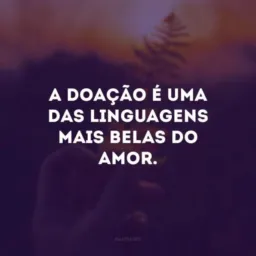 A.R Doação Com Amor🙌🏼🩵