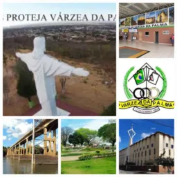 Mercadoria em geral VZP 2025 5️⃣