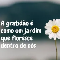 Gratidão vendas de Roupas