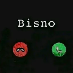 BISNO TODA HORA