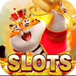 Lançamento hoje