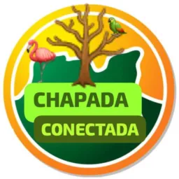 CHAPADA CONECTADA 📡